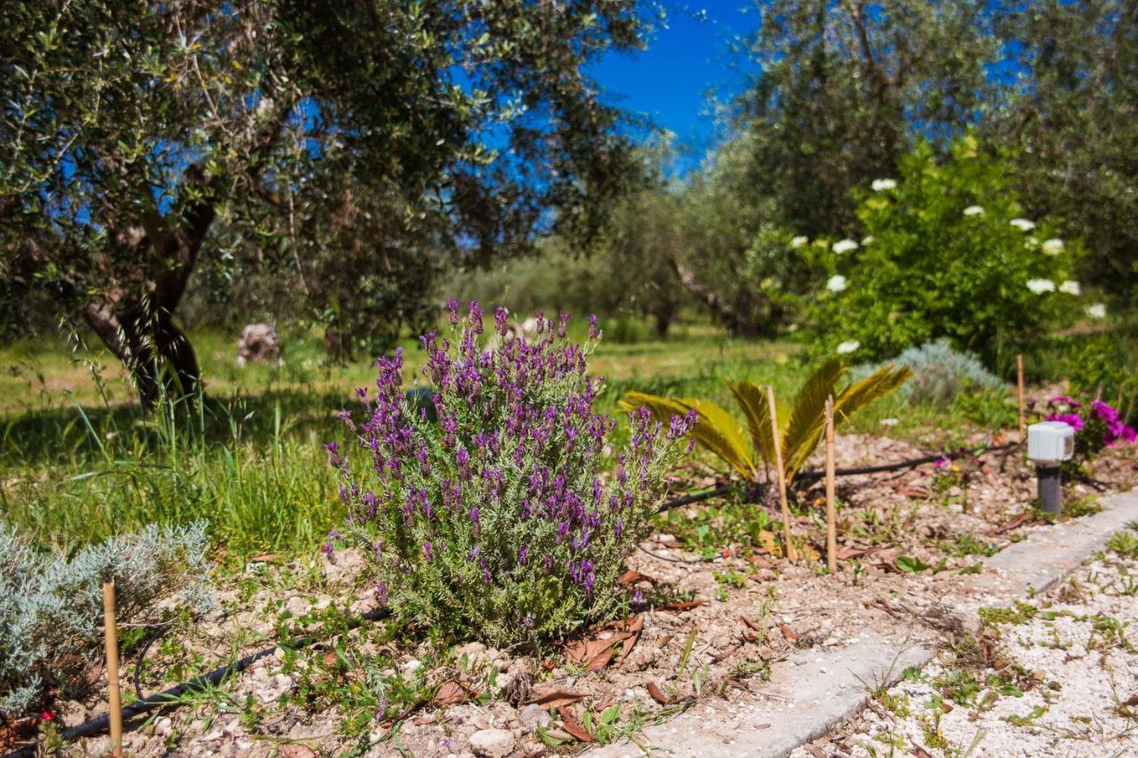 Agriturismo Biologico Piccapane Bed & Breakfast Cutrofiano Exterior photo