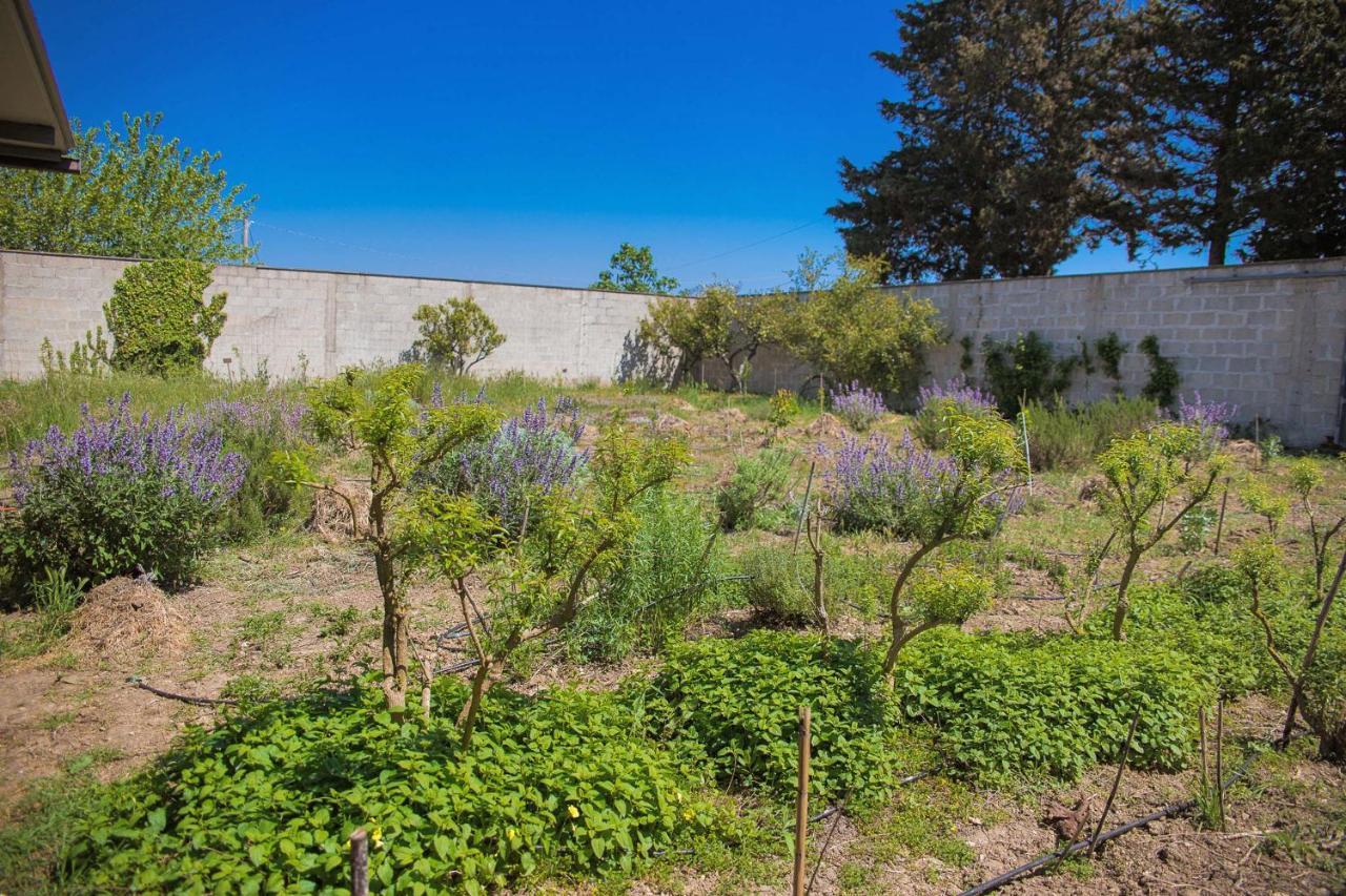 Agriturismo Biologico Piccapane Bed & Breakfast Cutrofiano Exterior photo