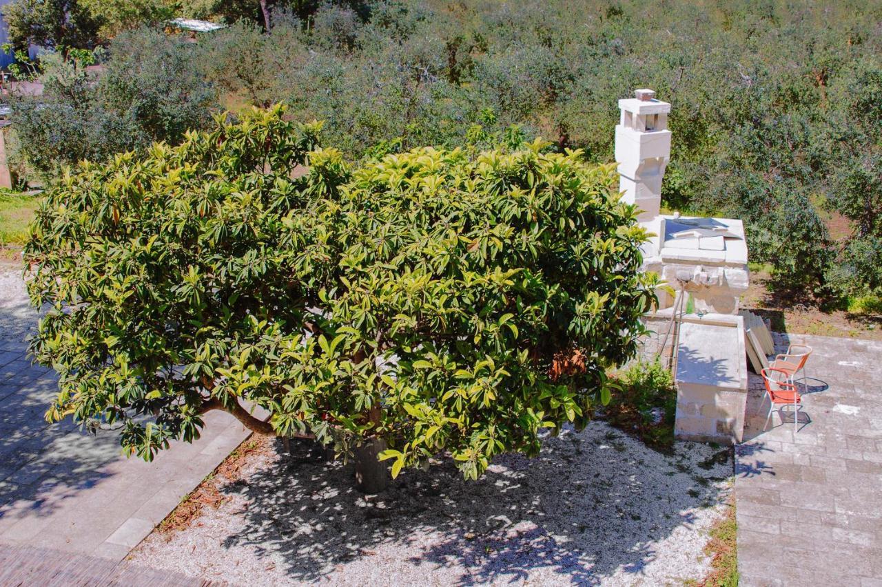Agriturismo Biologico Piccapane Bed & Breakfast Cutrofiano Exterior photo