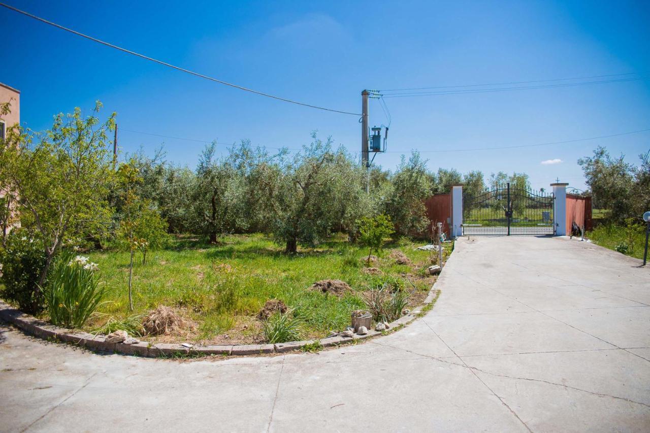Agriturismo Biologico Piccapane Bed & Breakfast Cutrofiano Exterior photo